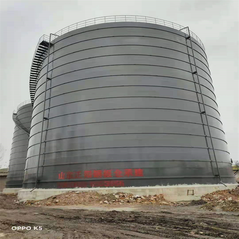 船营3万吨大型钢板库